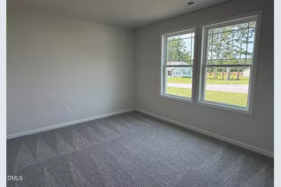 223 Magnolia Run Way, Benson, NC 27504 - Photo 9