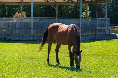 1018 Terrell Woods Lane, Chapel Hill, NC 27516 - Photo 45