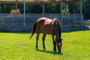 1018 Terrell Woods Lane, Chapel Hill, NC 27516 - Photo 45