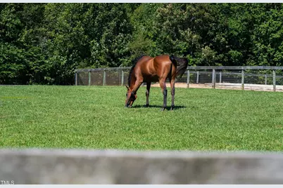 1018 Terrell Woods Lane, Chapel Hill, NC 27516 - Photo 37
