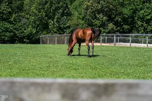 1018 Terrell Woods Lane, Chapel Hill, NC 27516 - Photo 37