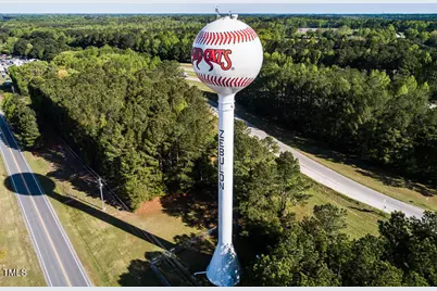 270 Sweetbay Tree Drive, Wendell, NC 27591 - Photo 23