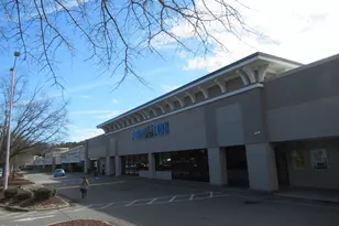 139 Kingsbury Dr, Chapel Hill, NC 27514 - Photo 43