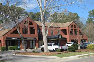 139 Kingsbury Dr, Chapel Hill, NC 27514 - Photo 45