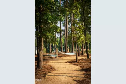 270 Inspiration Way Way, Fuquay Varina, NC 27526 - Photo 3