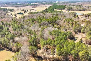 348 Raymond Tharrington Rd, Louisburg, NC 27549 - Photo 13