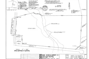 348 Raymond Tharrington Rd, Louisburg, NC 27549 - Photo 7