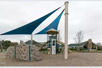 297 Colonial Ridge Drive, Pittsboro, NC 27312 - Photo 23