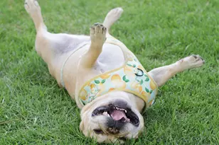 9160 Dupree Mdw Dr, Angier, NC 27501 - Photo 63