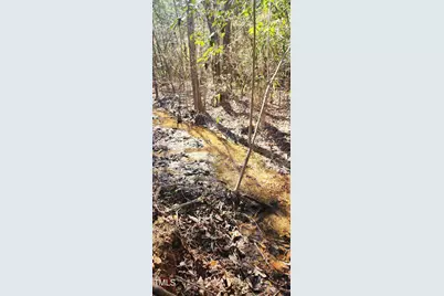 Lot 6 Saint Andrews Church Road, Sanford, NC 27332 - Photo 9