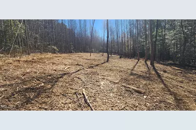 Lot 6 Saint Andrews Church Road, Sanford, NC 27332 - Photo 3