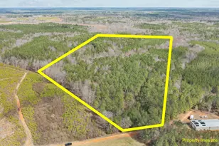 0 Roy Tharrington, Louisburg, NC 27549 - Photo 1