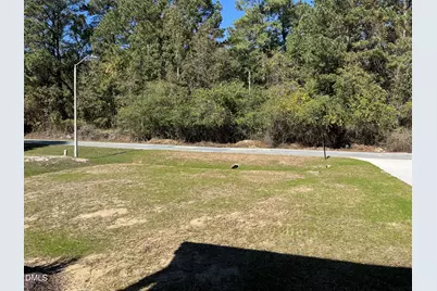 162 Kirkwall Lane, Selma, NC 27576 - Photo 37