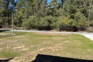 162 Kirkwall Ln, Selma, NC 27576 - Photo 37