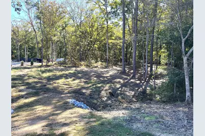 162 Kirkwall Lane, Selma, NC 27576 - Photo 35