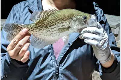 3905 McLean Chapel Church Road, Bunnlevel, NC 28323 - Photo 17