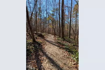 3905 McLean Chapel Church Road, Bunnlevel, NC 28323 - Photo 23