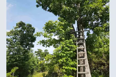 472 Eaton Ferry Road, Littleton, NC 27850 - Photo 51