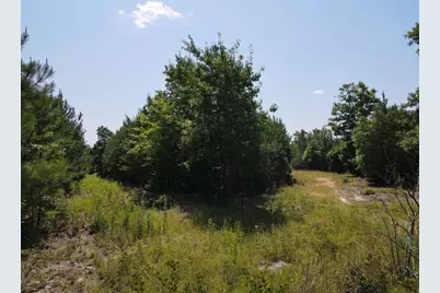 472 Eaton Ferry Road, Littleton, NC 27850 - Photo 23