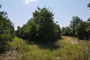 472 Eaton Ferry Rd, Littleton, NC 27850 - Photo 23