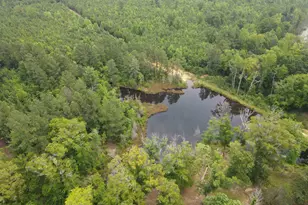 472 Eaton Ferry Rd, Littleton, NC 27850 - Photo 19