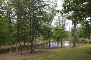 472 Eaton Ferry Rd, Littleton, NC 27850 - Photo 83