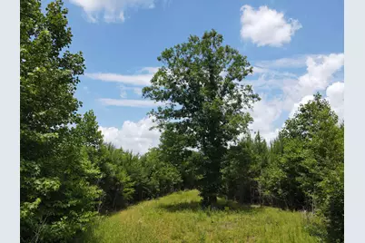 472 Eaton Ferry Road, Littleton, NC 27850 - Photo 35