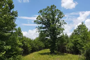 472 Eaton Ferry Rd, Littleton, NC 27850 - Photo 35