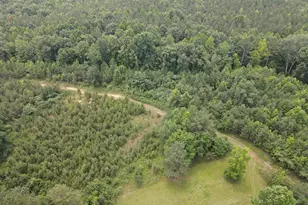 472 Eaton Ferry Rd, Littleton, NC 27850 - Photo 81