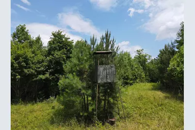 472 Eaton Ferry Road, Littleton, NC 27850 - Photo 37