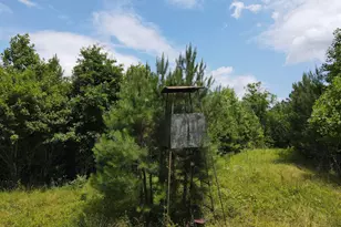 472 Eaton Ferry Rd, Littleton, NC 27850 - Photo 37