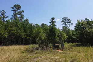 472 Eaton Ferry Rd, Littleton, NC 27850 - Photo 25