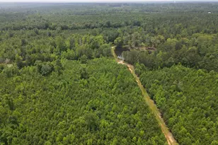 472 Eaton Ferry Rd, Littleton, NC 27850 - Photo 41