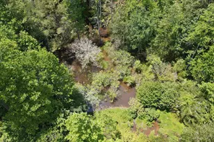 472 Eaton Ferry Rd, Littleton, NC 27850 - Photo 29