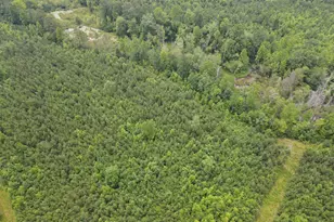 472 Eaton Ferry Rd, Littleton, NC 27850 - Photo 69