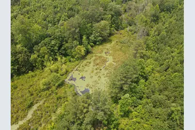 472 Eaton Ferry Road, Littleton, NC 27850 - Photo 73