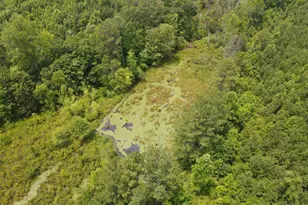 472 Eaton Ferry Rd, Littleton, NC 27850 - Photo 73