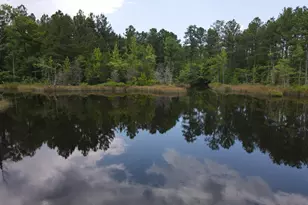 472 Eaton Ferry Rd, Littleton, NC 27850 - Photo 59