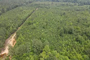 472 Eaton Ferry Rd, Littleton, NC 27850 - Photo 45