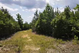 472 Eaton Ferry Rd, Littleton, NC 27850 - Photo 21