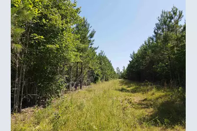 472 Eaton Ferry Road, Littleton, NC 27850 - Photo 47