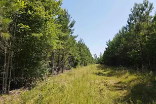 472 Eaton Ferry Rd, Littleton, NC 27850 - Photo 47