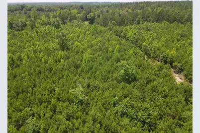 472 Eaton Ferry Road, Littleton, NC 27850 - Photo 39