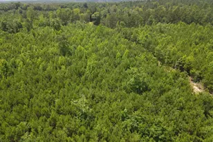 472 Eaton Ferry Rd, Littleton, NC 27850 - Photo 39