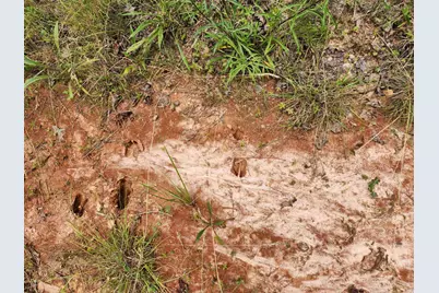 472 Eaton Ferry Road, Littleton, NC 27850 - Photo 49