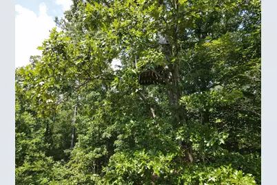 472 Eaton Ferry Road, Littleton, NC 27850 - Photo 53