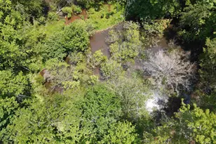 472 Eaton Ferry Rd, Littleton, NC 27850 - Photo 31