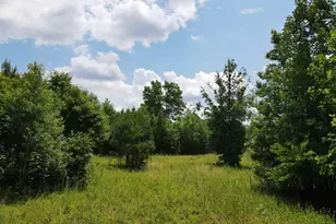 472 Eaton Ferry Rd, Littleton, NC 27850 - Photo 33