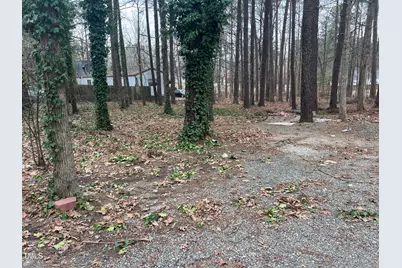 118 Stella Court, Morrisville, NC 27560 - Photo 9