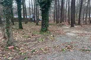 118 Stella Ct, Morrisville, NC 27560 - Photo 9